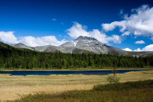 Уральські гори Уральські гори